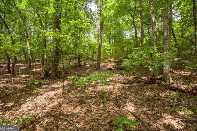 285 Bear Creek Drive, Big Canoe, GA 30143 - Image #1