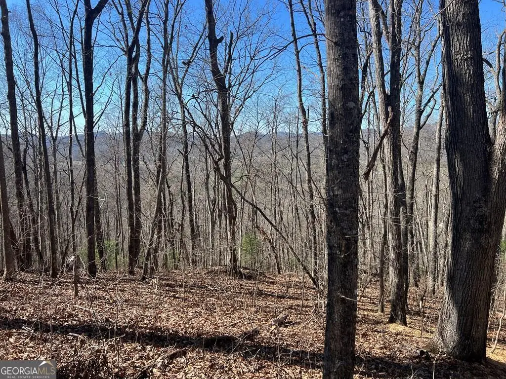 0 Wikle Road #LOTS 7, 8, ADD., Hayesville, NC 28904 - Image #1