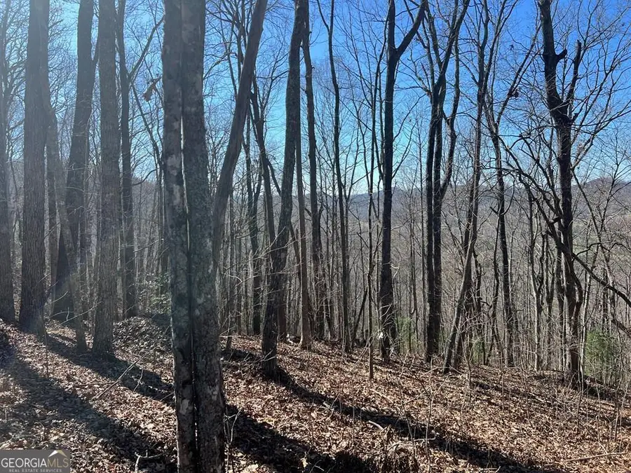 0 Wikle Road #LOTS 7, 8, ADD., Hayesville, NC 28904 - Image #2