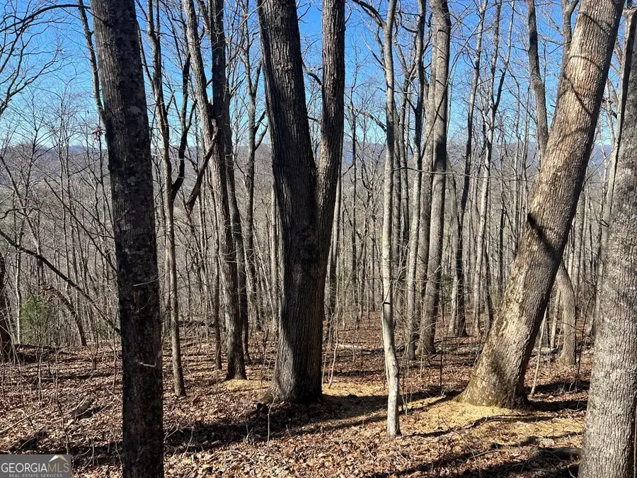 0 Wikle Road #LOTS 7, 8, ADD., Hayesville, NC 28904 - Image #3