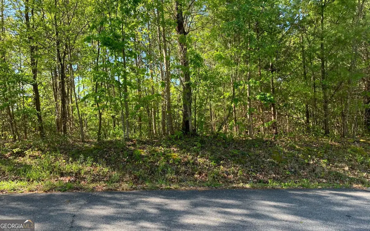 LOT 57 Fires Creek Cove, Hayesville, NC 28904 - Image #1