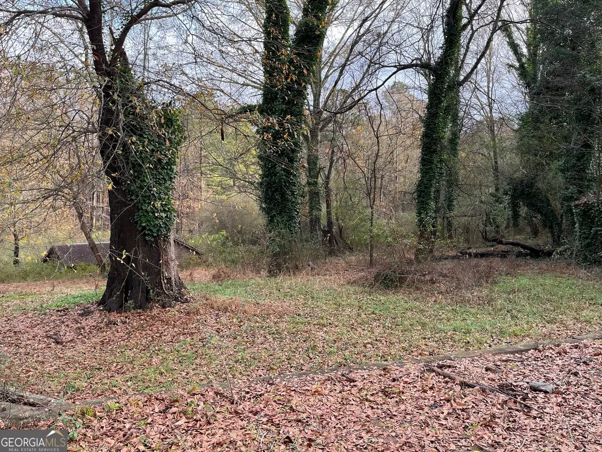 4060 Danforth Road Sw, South Fulton, GA 30331 - #1