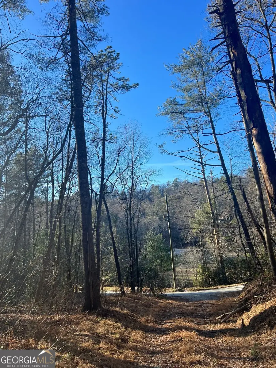 0 Sylvan Lake Drive #47,48, Rabun Gap, GA 30568 - Image #3