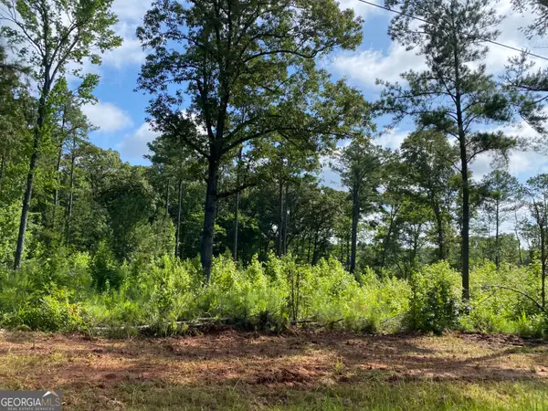 659 Giles Road, Forsyth, GA 31029