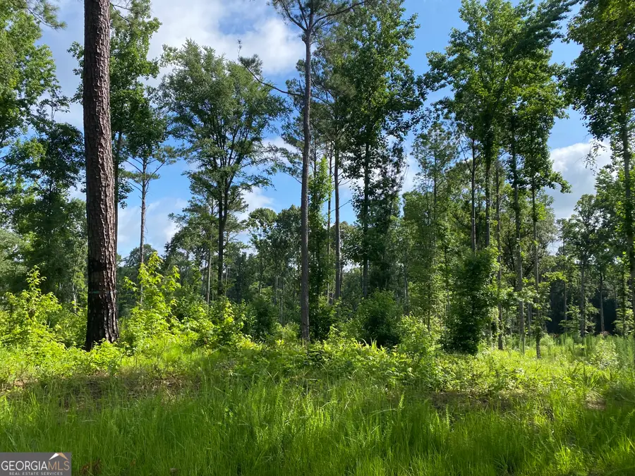 671 Giles Road, Forsyth, GA 31029 - Image #2