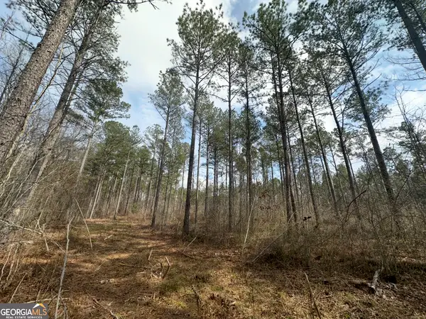 210.73 Acres, Gay, GA 30218