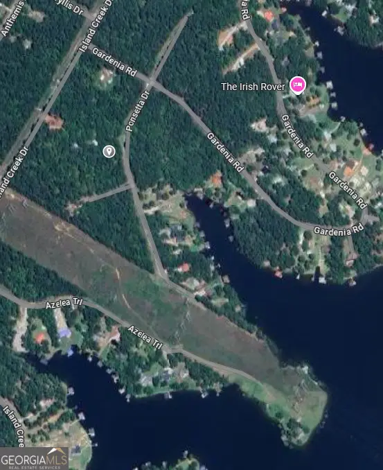 0 Poinsettia Place, Sparta, GA 31087 - Image #1