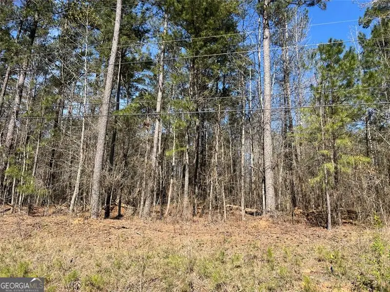 0 Jones, College Park, GA 30213 - Image #1