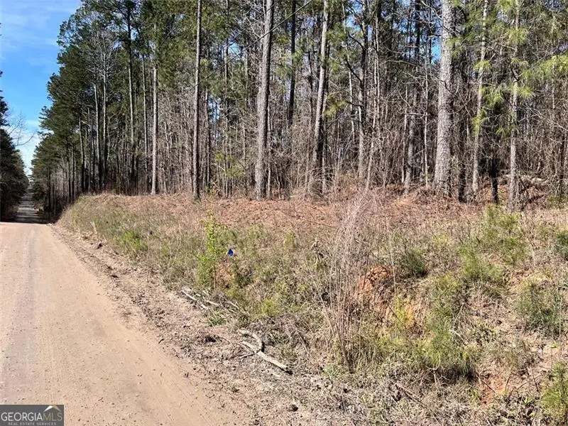 0 Jones, College Park, GA 30213 - Image #3