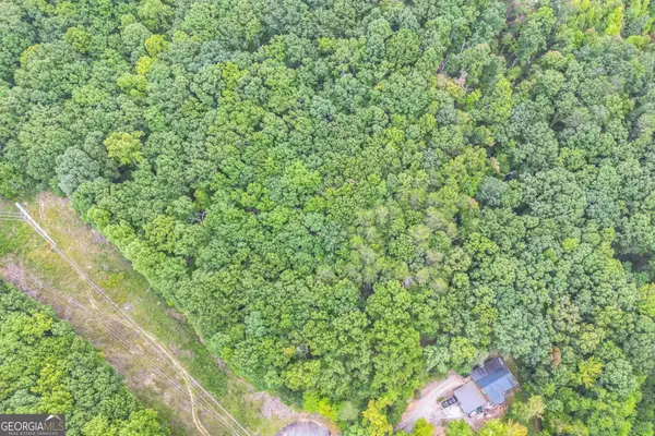 349 Turner Ridge Drive, Cleveland, GA 30528