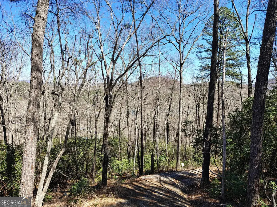 0 Ivy Ridge Way #LOT 50, Clarkesville, GA 30523 - Image #3