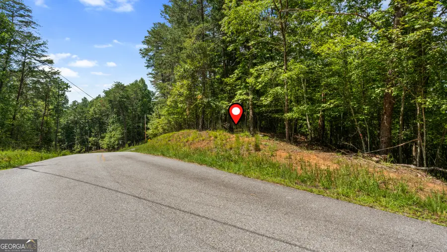 LOT 41 Tomahawk Lane #41, Mineral Bluff, GA 30559 - Image #3