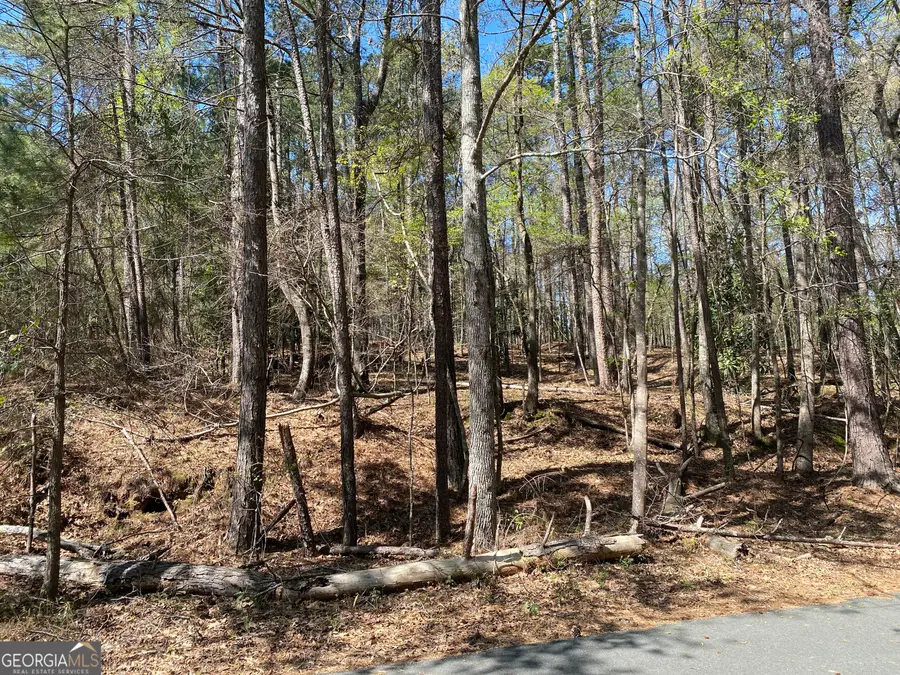 0 Sandra Drive, Gray, GA 31032 - Image #2