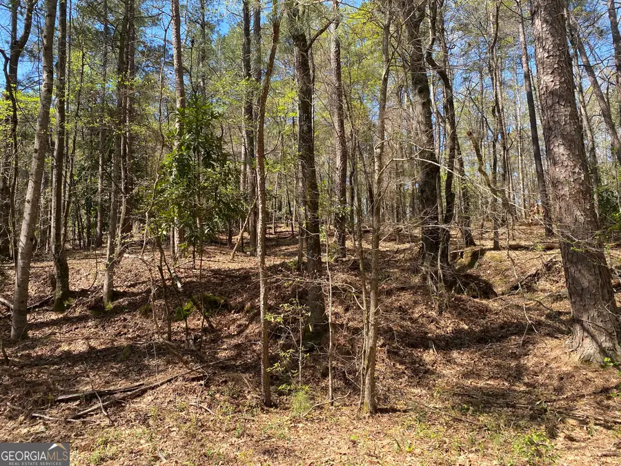 0 Sandra Drive, Gray, GA 31032 - Image #3