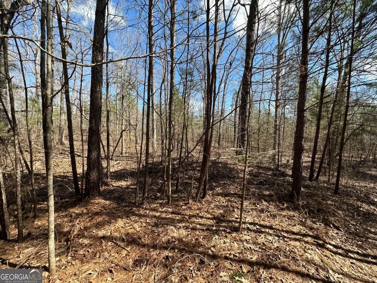 0 Rocky Point Road, Covington, GA 30014 - Image #1