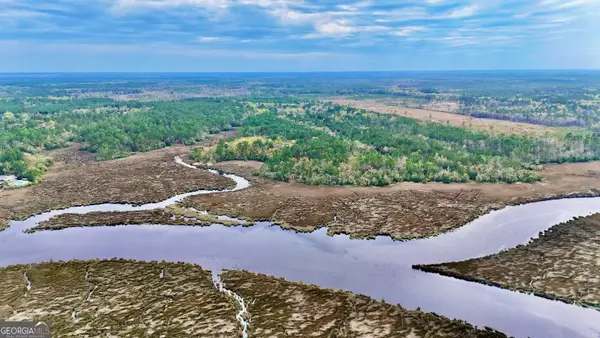 0 Us Hwy 17, Waverly, GA 31565