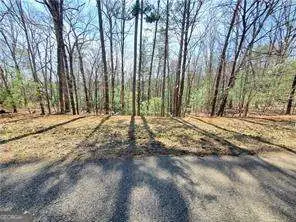 0 Trails End Summit, Ellijay, GA 30540 - #1