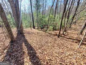 0 Trails End Summit, Ellijay, GA 30540 - #2