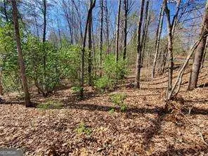 0 Trails End Summit, Ellijay, GA 30540 - #3