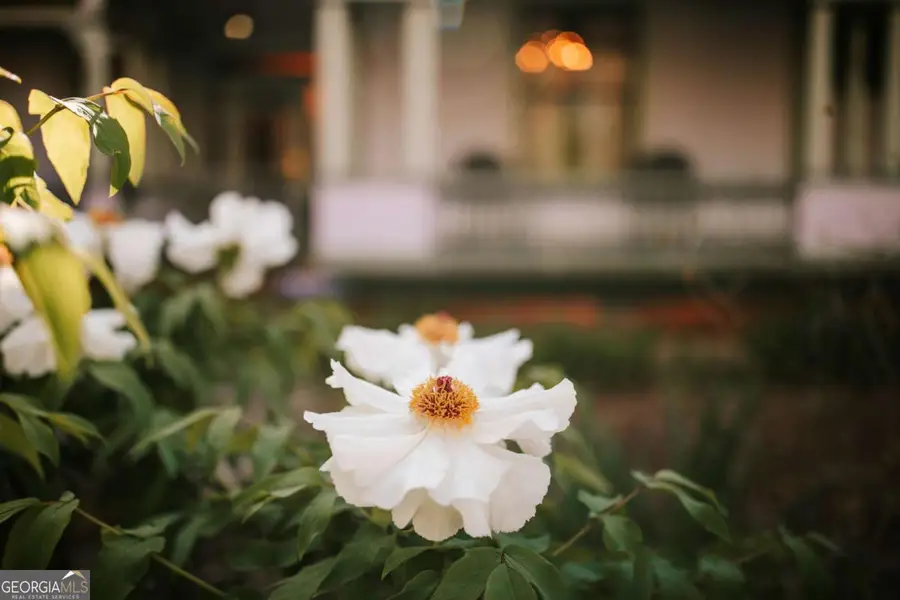 229 Woodlawn Drive, Crawford, GA 30630 - Image #3