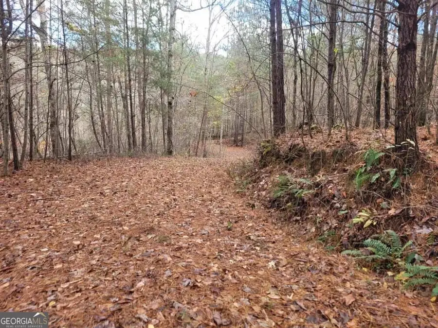 18.22 Talona Road, Ellijay, GA 30540 - #2