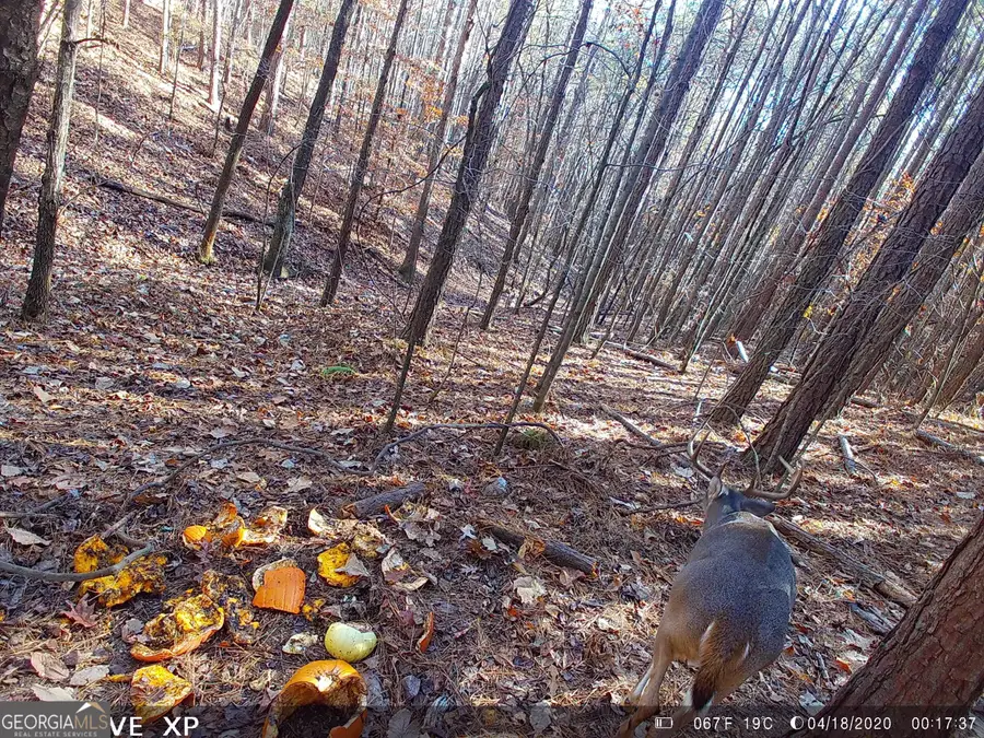 0 Husley Trail, Canton, GA 30114 - #3