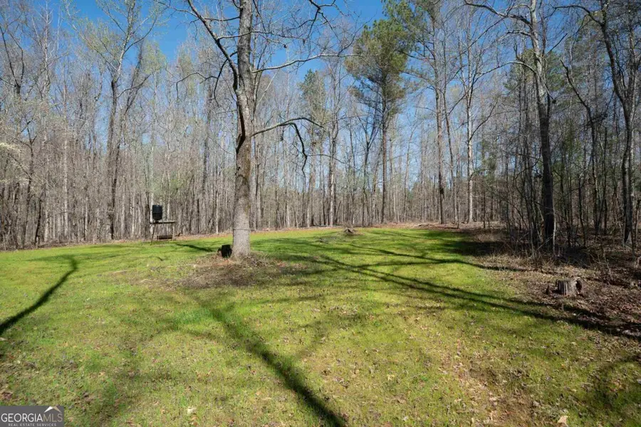 0 Carrs Station Road, Sparta, GA 31087 - Image #2