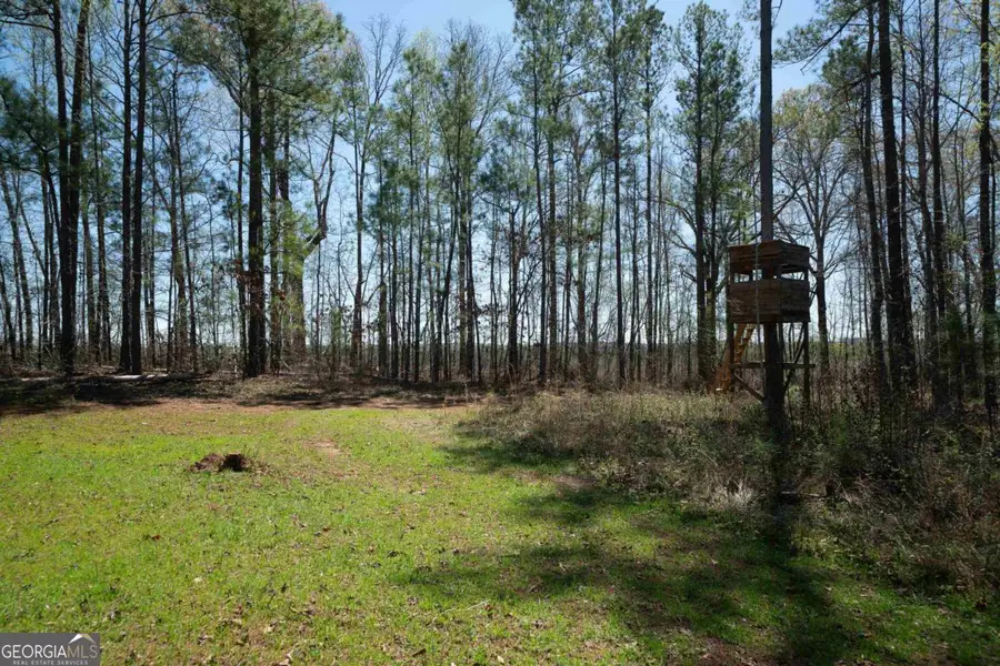 0 Carrs Station Road, Sparta, GA 31087 - Image #3