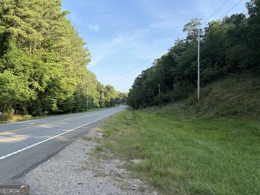 0 Fairmount Highway #9614-P, Fairmount, GA 30139 - #3