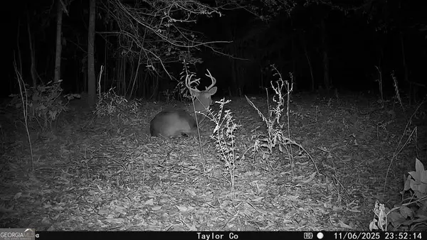 0 Americus Highway, Rupert, GA 31081