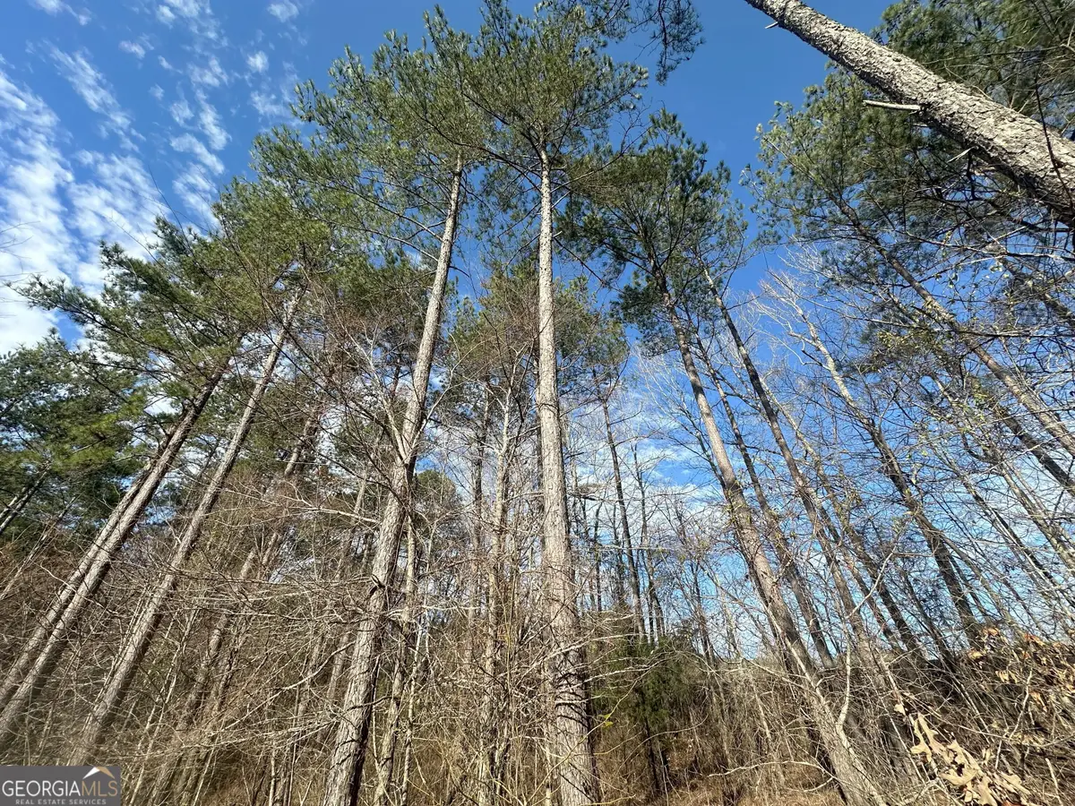 0 Ruckersville Road, Elberton, GA 30635 - Image #1