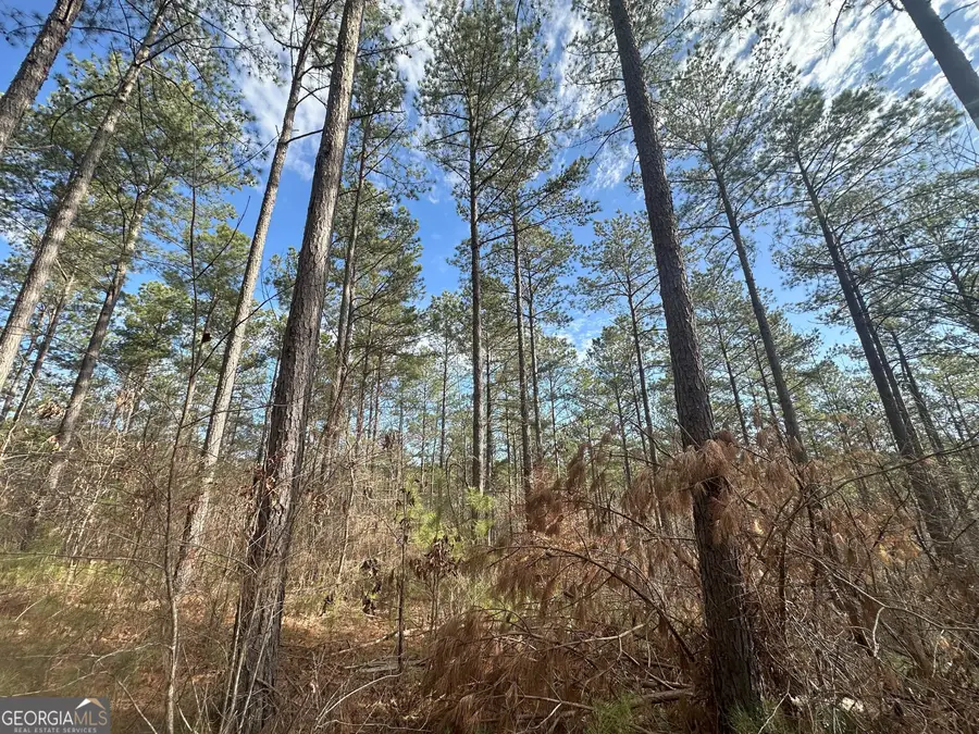 0 Ruckersville Road, Elberton, GA 30635 - Image #3