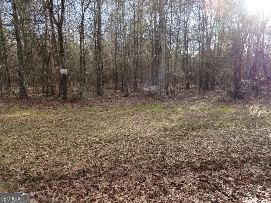 1207 Highway 36 W, Barnesville, GA 30204 - Image #2