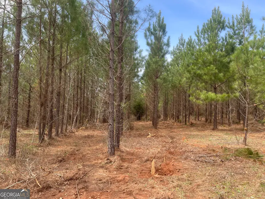 0 Bevis Rd Parcel 4, Franklin, GA 30217 - Image #2