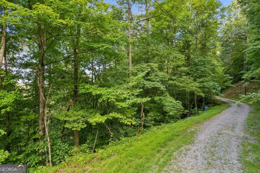 0 Flat Ridge Road, Ellijay, GA 30540 - #3