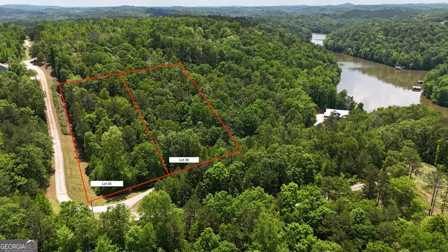 LOT 25 Sawyer Boat Ramp Road, Wedowee, AL 36278 - Image #2