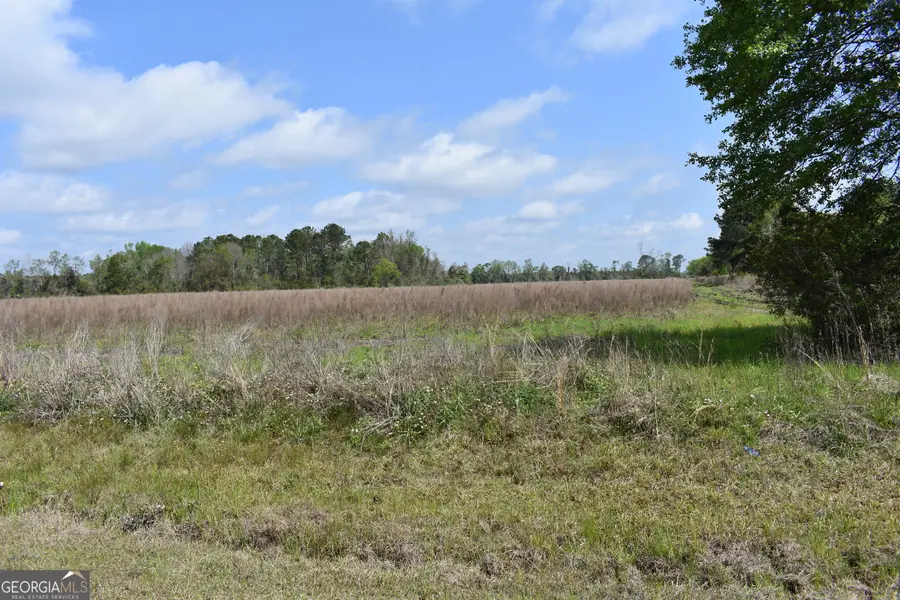 0 Oak Tree Road #(31.62 AC), Metter, GA 30439 - Image #3