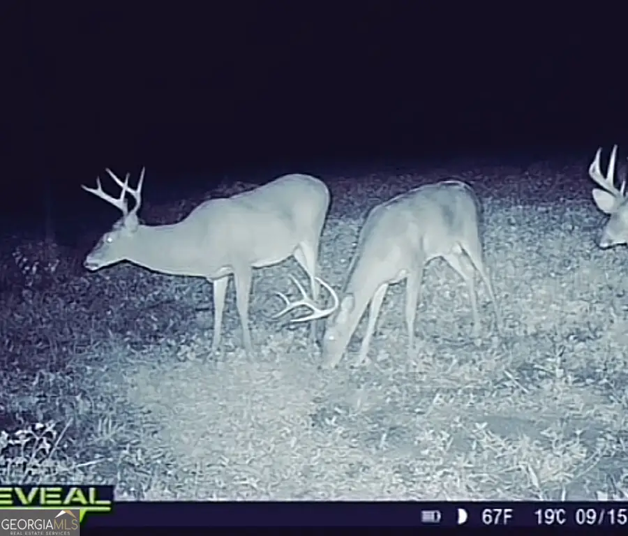 0076 001 Tifton Eldorado Road, Tifton, GA 31793 - Image #3