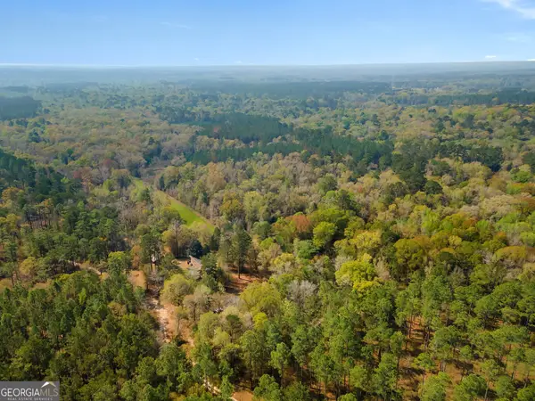 4103 Hadley Ferry Road, Cairo, GA 39828