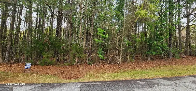 0 Fairway Drive, Elberton, GA 30635 - Image #3