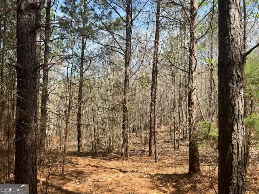 16 Unbridled Road #22, Rome, GA 30161 - Image #2