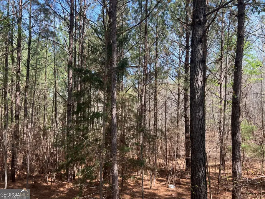 16 Unbridled Road #22, Rome, GA 30161 - Image #3