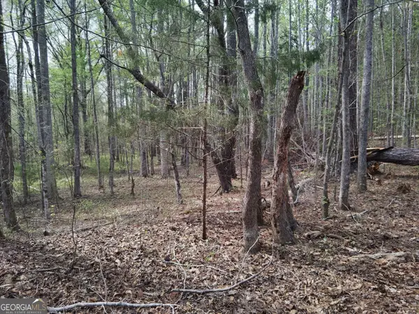 75 Lee Lane, Greenville, GA 30222