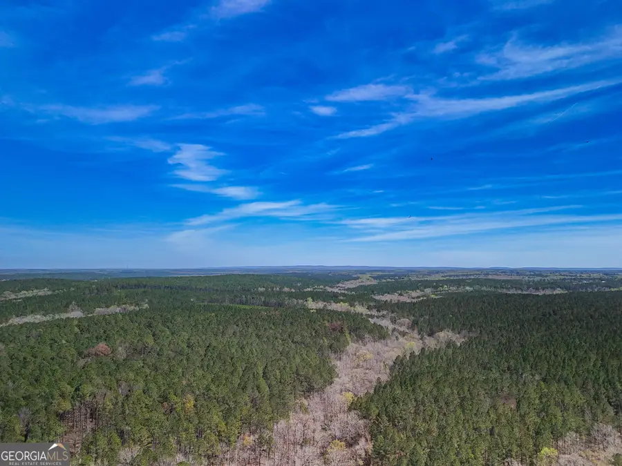 0 Shake Rag Road #TRACT 1, Pine Mountain, GA 31822 - Image #2