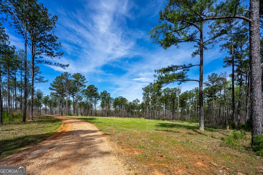0 Shake Rag Road #TRACT 2, Pine Mountain, GA 31822 - Image #3