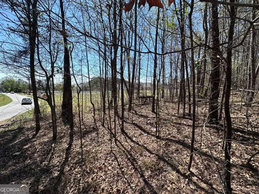 1435 Rogers Lake Road, Lithonia, GA 30058 - #3