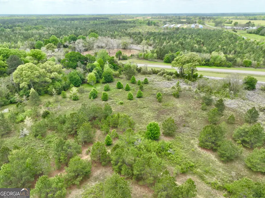 0 Miramar Drive, Hawkinsville, GA 31036 - Image #2