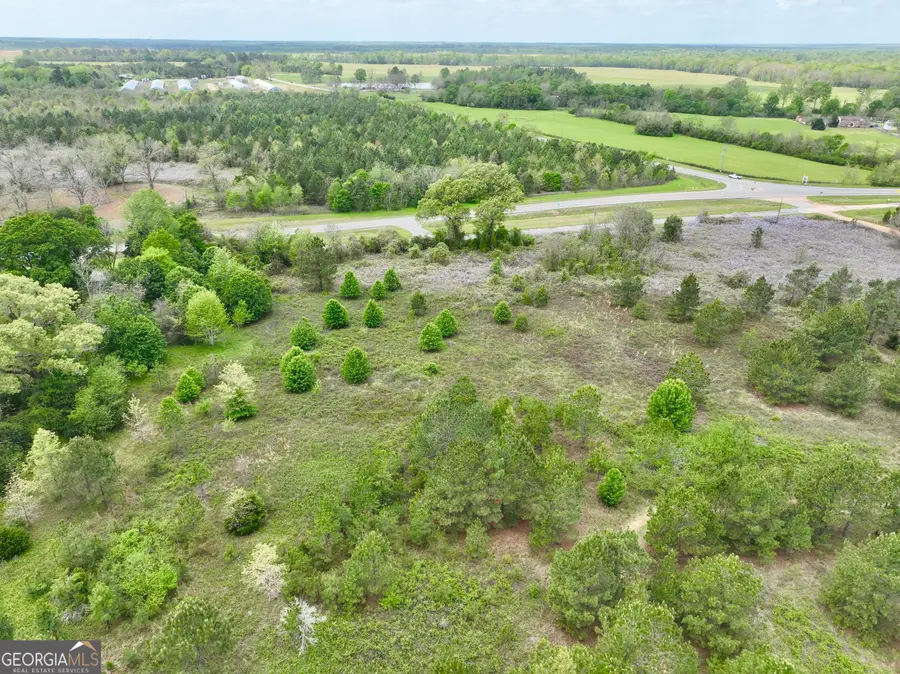 0 Miramar Drive, Hawkinsville, GA 31036 - Image #3