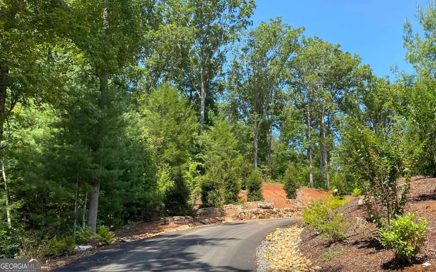 LOT 11 Haven Way, Blue Ridge, GA 30513 - #2