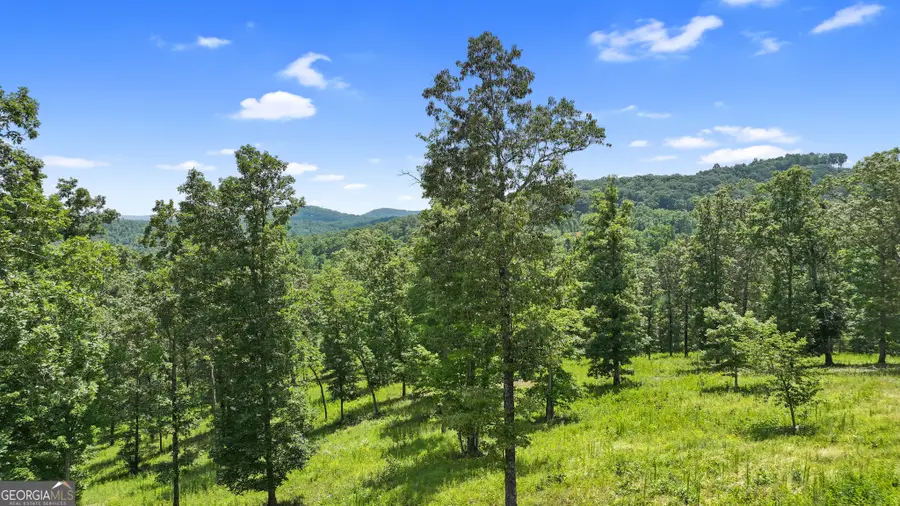 LOT 11 Haven Way, Blue Ridge, GA 30513 - #3